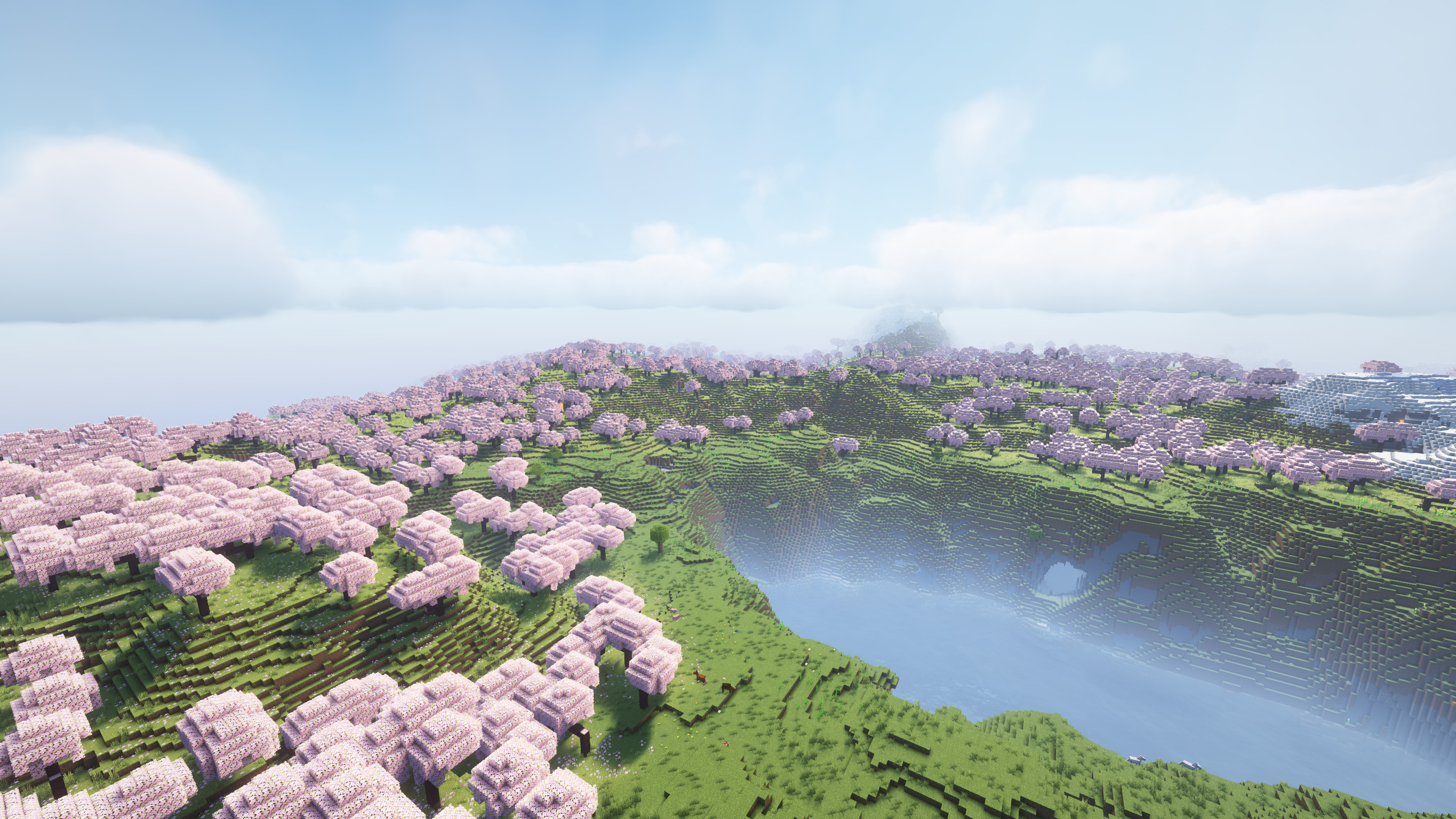 Very Large Cherry Grove