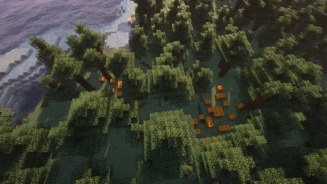 Large Pumpkin Patch